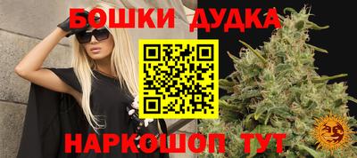 стаф Гусиноозёрск