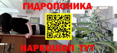 стаф Гусиноозёрск