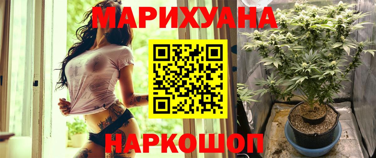 Бошки марихуана конопля Надым